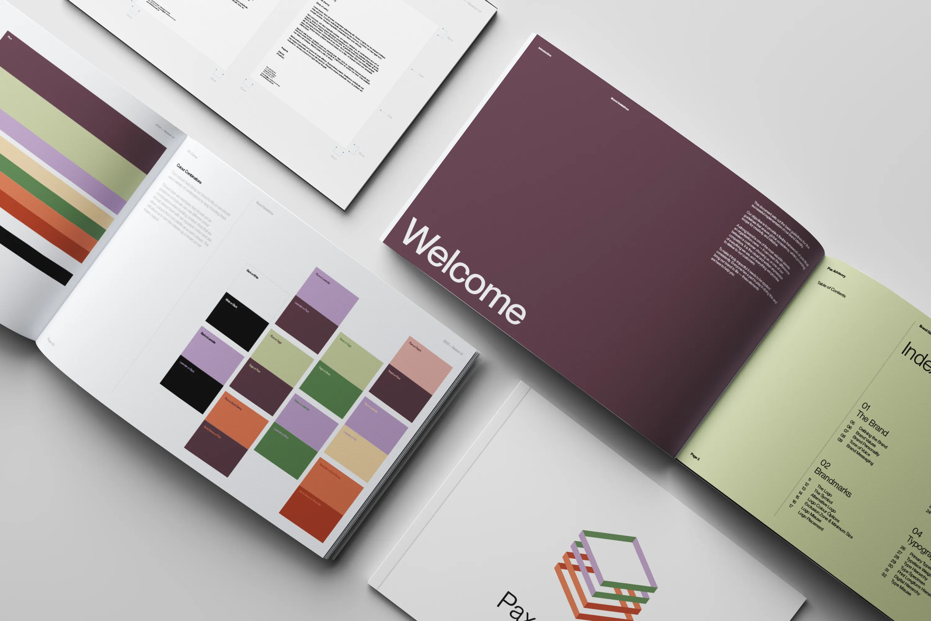 Pax Advisory Rebrand